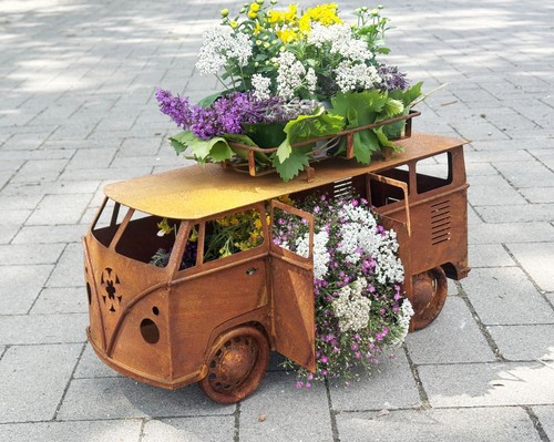 Bulli bus piantare - vw,