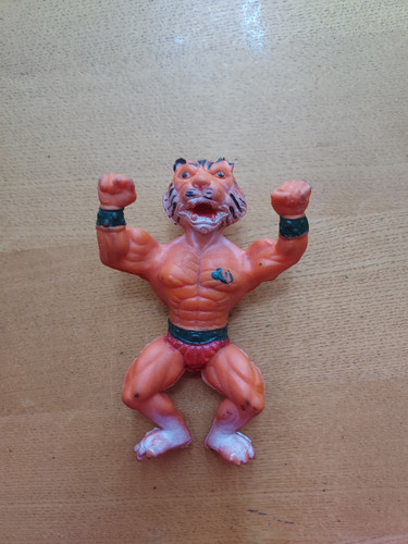 Uomo tigre anni - tigre, in