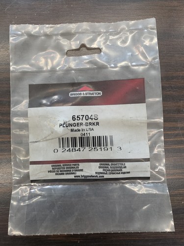 Briggs and stratton - and, 65704s