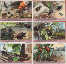 FIGURINE LIEBIG SERIE COMPLETA