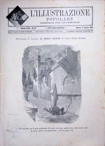 Illustrazione popolare 21 - l'illustrazione,