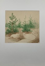 Disegno Jugendstil Eugen