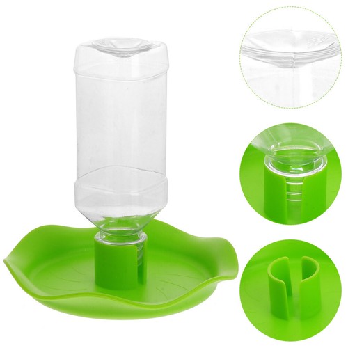 Mangiatoia acqua rettile