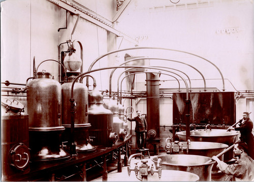 Distillerie vintage print - vintage,