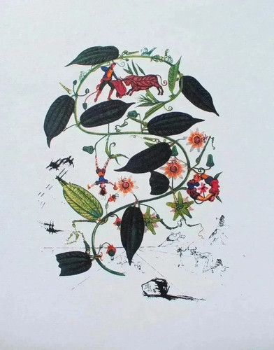 Salvador dali passiflore - passiflore,