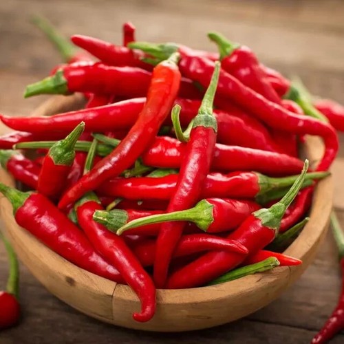 Peperoncino cayenna - cayenna, /