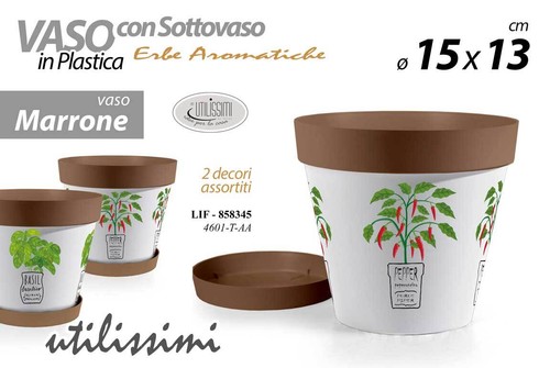 Vaso piante fiori semi - fiori, vivai