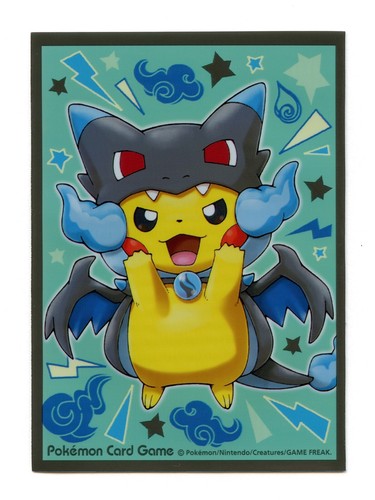 Mega charizard poncho - mega,