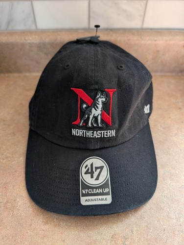 Northeastern huskies clean - huskies,