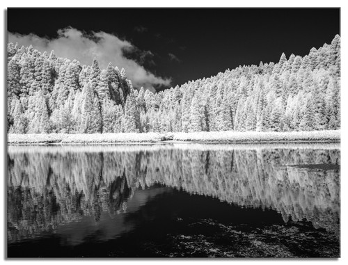 Fotocamera infrarossi - fotocamera, ir