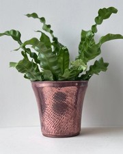 Vintage Hand-Hammered Copper