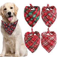 Natale gatto cane animale - gatto,