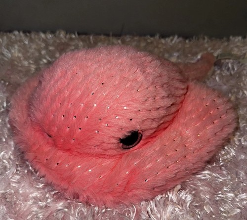 Peluche pesce pattinatore