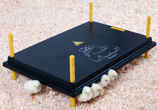 CHIOCCIA ARTIFICIALE PER 50/55