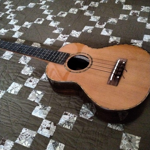 Ukulele tenore con - ukulele,