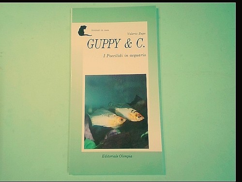 Guppy i poecilidi in - guppy,