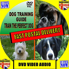 DOG PUPPY TRAINING TUITION