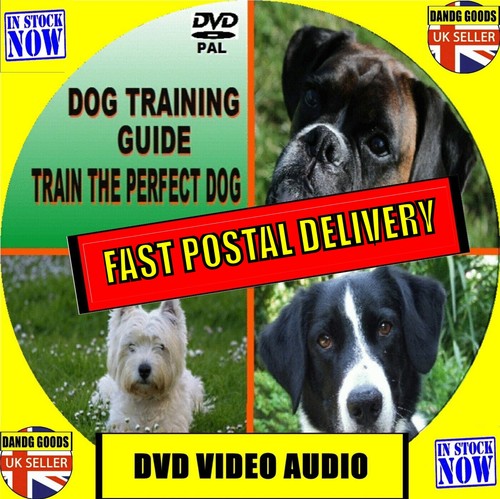 Dog puppy training - dog,