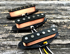 Black Wolf Audio Stratocaster