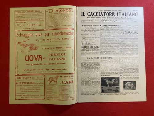Cacciatore italiano - cacciatore,