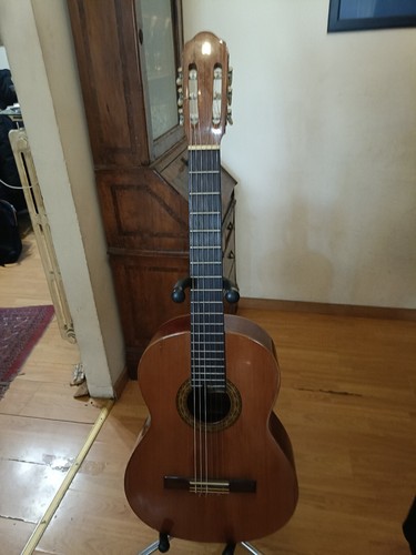 Chitarra classica raimundo 123 - raimundo,