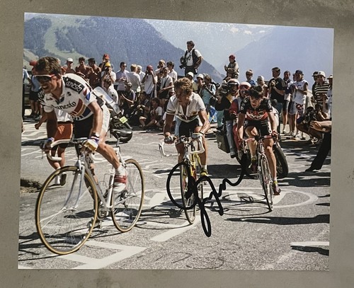 Foto maglia arcobaleno