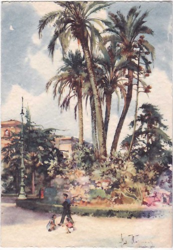 Spezia palmizi - palmizi,