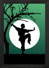 Quadro stampa su tela poster