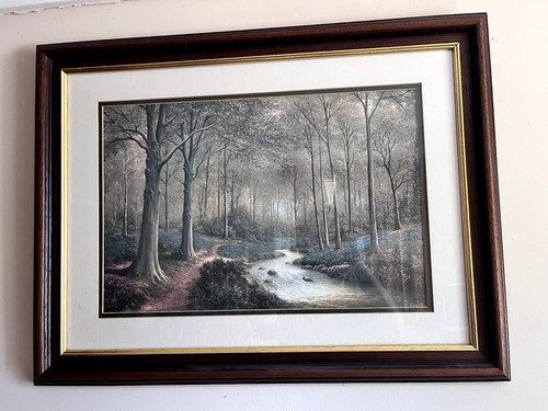 Quadro foresta bosco