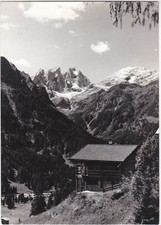 FALCADE - BELLUNO - RUSTICO CON LE CIME DEL FOCOBON - VIAGG. 1968 -28313-