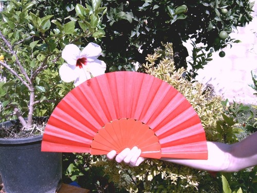 Flamenco spagnolo originale - spagnolo,