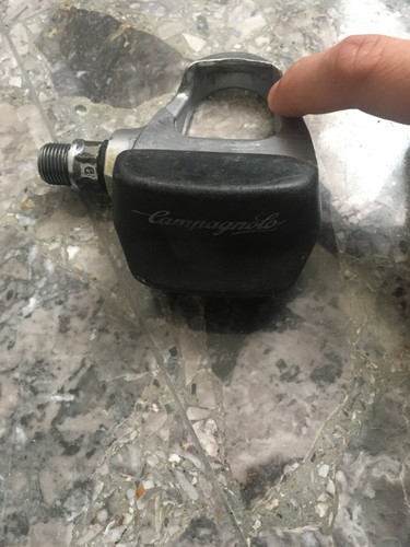 Campagnolo record pro fit plus - pro,
