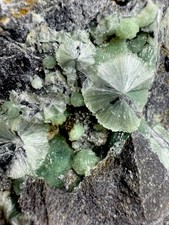 SCIOPERO! Onda radiante su