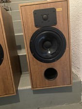 Raro altoparlante Matched