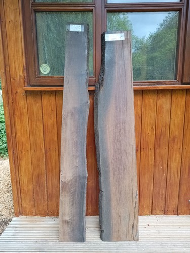 Legno palude morta - di, raro