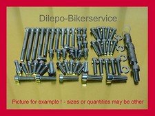 Kit viti in acciaio inox copri