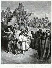 🟢 ANTICA STAMPA DI GUSTAVO