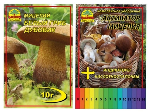 Offerta porcini secchi - offerta:,