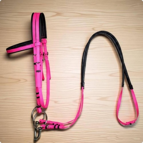 Briglia per cavallo con morso - per,