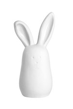 Coniglio Bianco Grande Amici