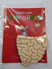 Corpo umano uscita - il,