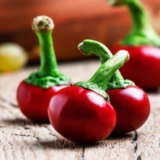 Lot De 25 Graines De Piment