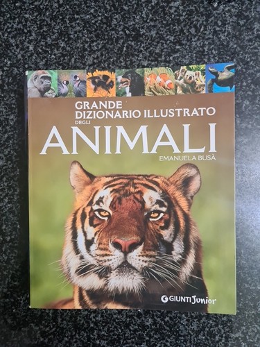 Grande dizionario illustrato - grande,