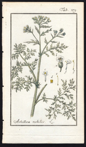 1800 johannes zorn icones - johannes,