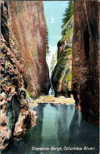 Cartolina oneonta gorge - cartolina,