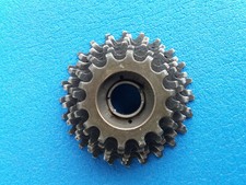 Pacco Pignoni Regina Oro 82 6v