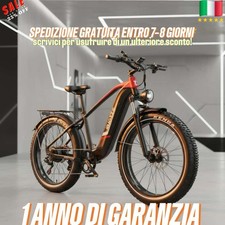 Mountain Bike Elettrica 250W 48V 18AH Freni Idraulici 25km/h Off-Road Con App