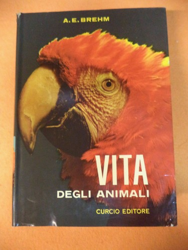Book libro vita - book, degli
