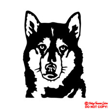 Adesivo decalcomania vinile