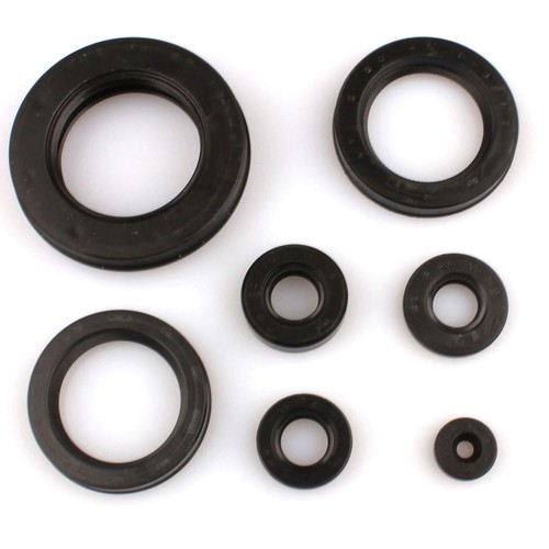 Set paraolio motore per honda - motore,